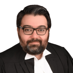 ثمین مرتضوی