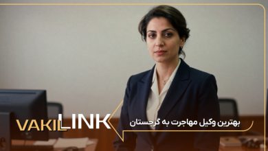 لیست بهترین وکیل مهاجرت به گرجستان